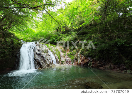 [Takahagi City, Ibaraki Prefecture] Hananuki Gorge Otomedaki 78787049