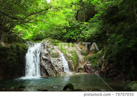 [Takahagi City, Ibaraki Prefecture] Hananuki Gorge Otomedaki 78787050