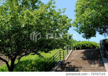 Refreshing fresh green stairs scenery Refreshing fresh green stairs scenery 78787120