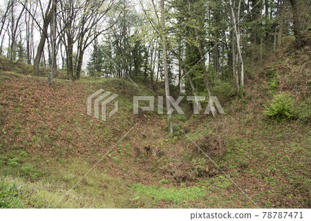 大島城跡 久堀三之丸 大島城跡 久堀三之丸 78787471