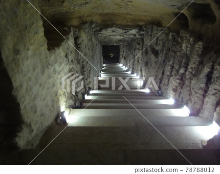 Alexandria Alexandria 78788012