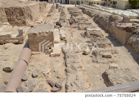 Alexandria Alexandria 78788024