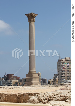 Alexandria Alexandria 78788025