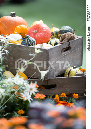 Halloween image vegetables Halloween image vegetables 78788301