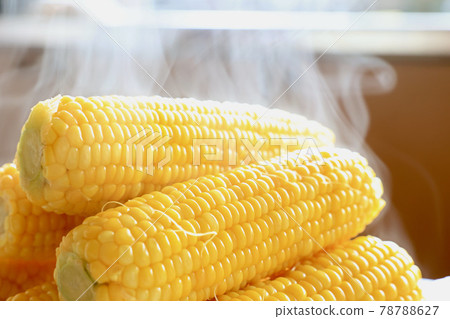Boiled corn Boiled corn 78788627