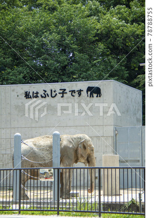 大像不二子（岡崎市東公園） 78788755