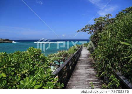 A little-known scenic spot Miyakojima Underwater Park A little-known scenic spot Miyakojima Underwater Park 78788876