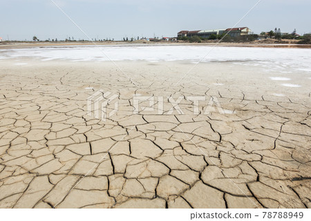dry fish farm 78788949