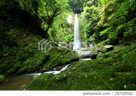 Kokuzo Falls (Kurozo Falls) [Aridagawa Town, Arida District, Wakayama Prefecture] 78789092