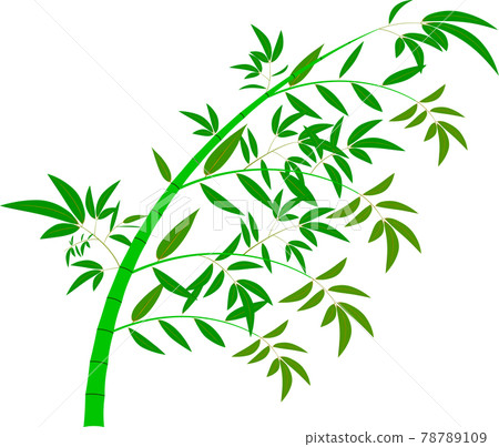 Cute bamboo leaves of Tanabata 78789109