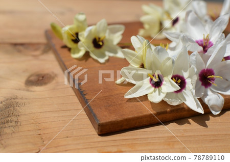 White corn lilies 78789110