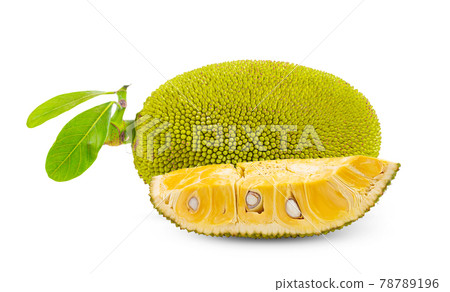 jack fruits on white background. full depth of field jack fruits on white background. full depth of field 78789196