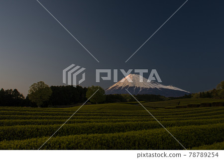 從茶園看日本第一的富士山 從茶園看日本第一的富士山 78789254