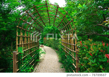 被德川園青翠環繞的竹籬笆小徑 被德川園青翠環繞的竹籬笆小徑 78789687