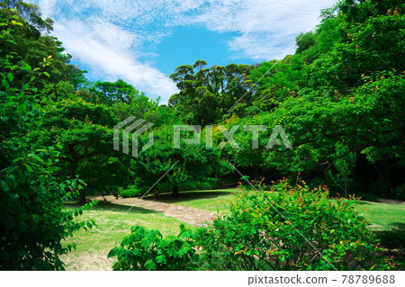 Cobblestone road surrounded by the fresh green of Tokugawaen Cobblestone road surrounded by the fresh green of Tokugawaen 78789688