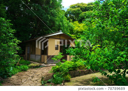 Cobblestone road and Shisui-an surrounded by the fresh green of Tokugawaen Cobblestone road and Shisui-an surrounded by the fresh green of Tokugawaen 78789689