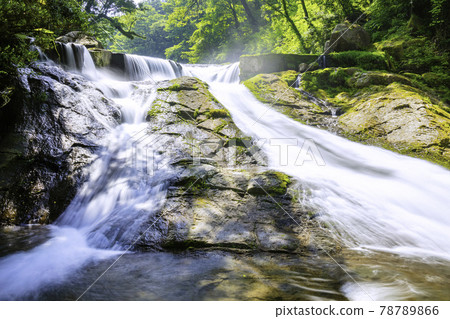 430,000 waterfalls in Kikuchi Gorge (Kikuchi City, Kumamoto Prefecture) 430,000 waterfalls in Kikuchi Gorge (Kikuchi City, Kumamoto Prefecture) 78789866