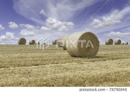 Straw bales stacked in a field at summer time, Reims 78790848
