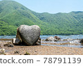 Heart stone (heart-shaped stone) 78791139