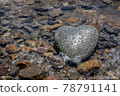 Heart stone (heart-shaped stone) 78791141