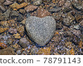 Heart stone (heart-shaped stone) 78791143