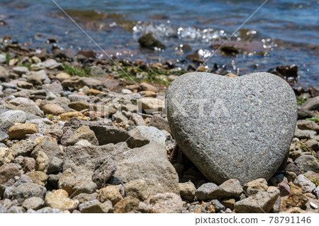心石（心形石） 78791146