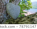 Heart stone (heart-shaped stone) 78791147