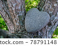 Heart stone (heart-shaped stone) 78791148