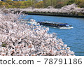 Sakuranosaki公園 78791186