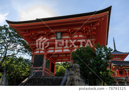 初夏清晨的清水寺 78791525