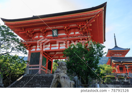Kiyomizu Temple in the early summer morning 78791526