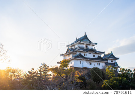 夕陽照亮的和歌山城 78791611