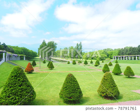 北海道前田森林公園的風景 北海道前田森林公園的風景 78791761