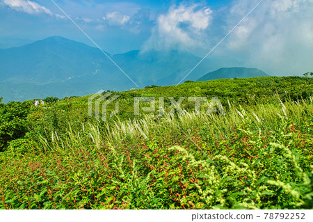 伊吹山 伊吹山 78792252