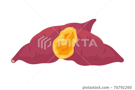 看起來很好吃的紅薯插畫 78792260