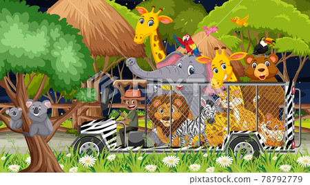 Safari at night scene with animals in the cage car 78792779