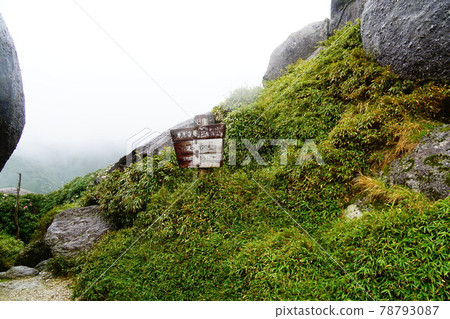 Yakushima Gas Hiraishi Iwaya and Yakushima Ishikusuhana Yakushima Gas Hiraishi Iwaya and Yakushima Ishikusuhana 78793087
