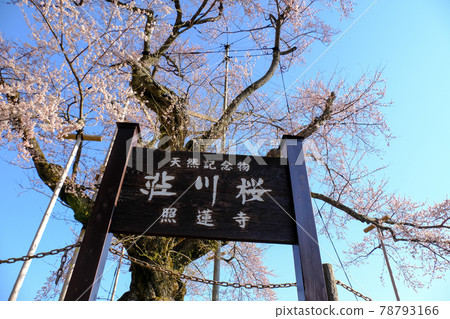 佐川昭河 78793166