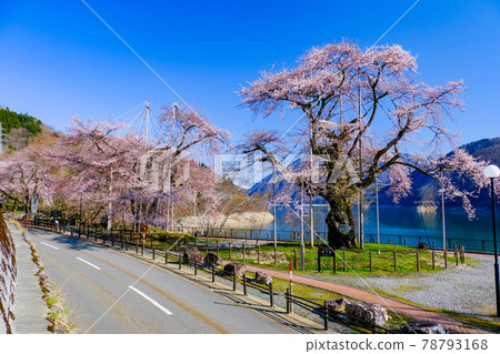 佐川昭河 78793168