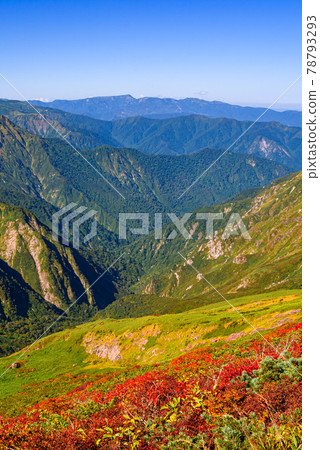 Tanigawa mountain range in the autumn leaves season Tanigawa mountain range in the autumn leaves season 78793293