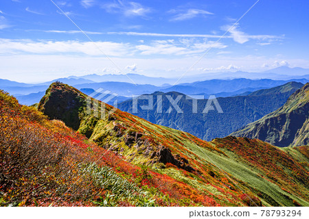 Tanigawadake Toma's ears and clear sky in the autumn leaves season Tanigawadake Toma's ears and clear sky in the autumn leaves season 78793294