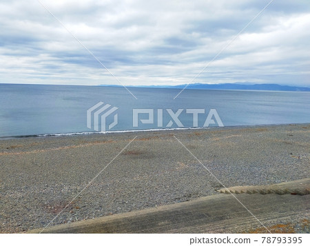 沼津千本濱公園 沼津千本濱公園 78793395