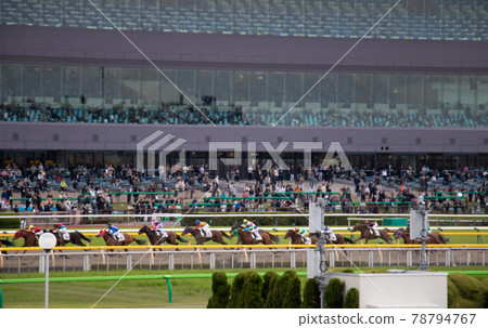 賽馬東京賽馬場 賽馬東京賽馬場 78794767