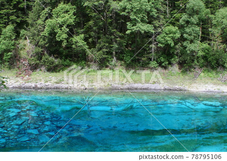 中國九寨溝五彩世界遺產 78795106