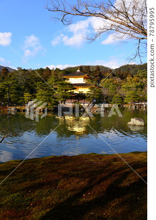 Mirako pond and Kinkaku 78795995