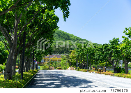 木坂和函館區舊公會堂 木坂和函館區舊公會堂 78796176