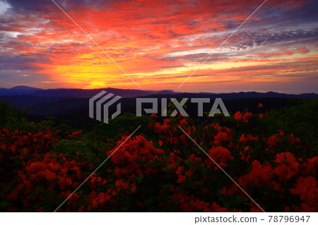 Dawn of Muroyama and Azalea 78796947