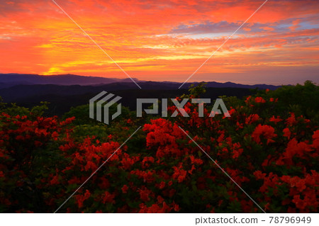 Dawn of Muroyama and Azalea Dawn of Muroyama and Azalea 78796949