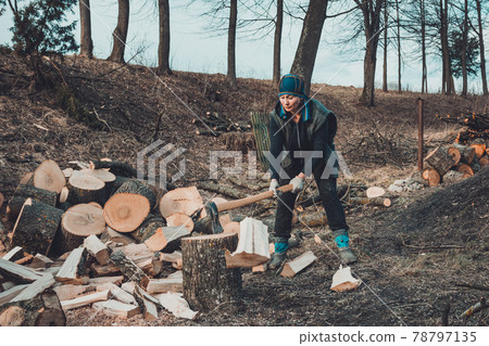 A rural woman shoots an ash tree wood for harvesting for the winter with an ax 78797135