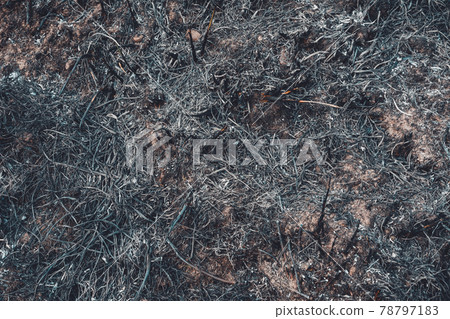 Consequences that leave fire after burning grass 78797183